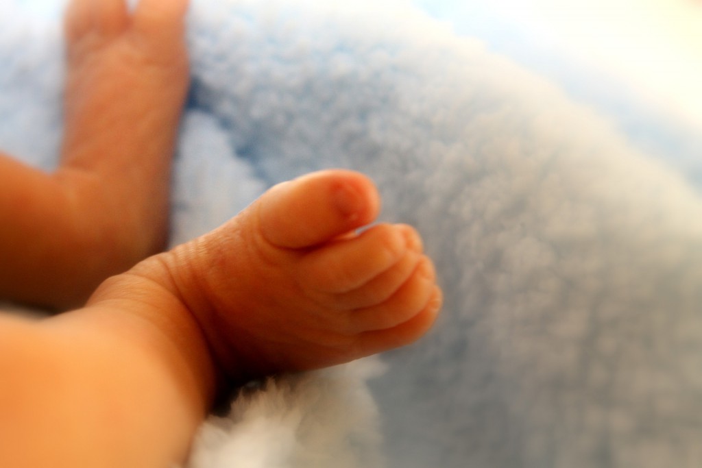 baby-feet-899436_1920