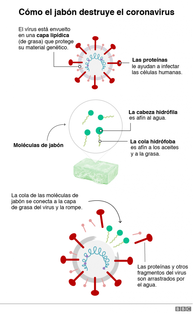 Infografía: www.bbc.com